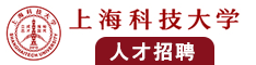 鸡鸡插入女人的肛门视频